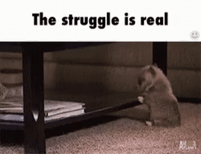 A Cat Is Playing With A Stick Under A Table With The Words `` The Struggle Is Real '' Above It . GIF