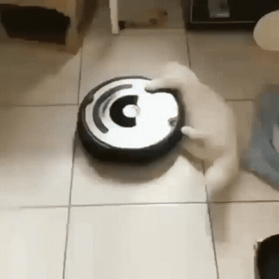 A Cat Is Playing With A Vacuum Cleaner On A Tiled Floor . GIF