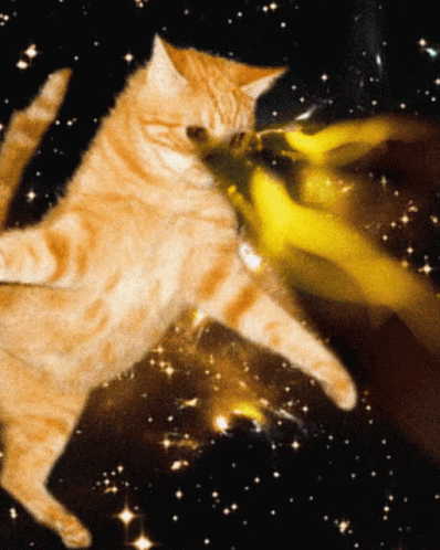 A Cat Is Playing With A Yellow Object In Outer Space GIF