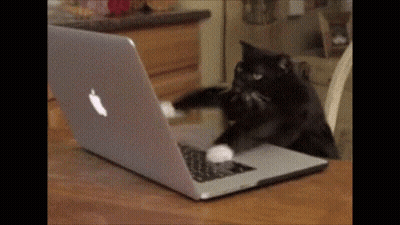 A Cat Is Playing With An Apple Laptop On A Table . GIF