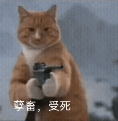 A Cat Is Pointing A Gun At The Camera With Chinese Writing On It . GIF