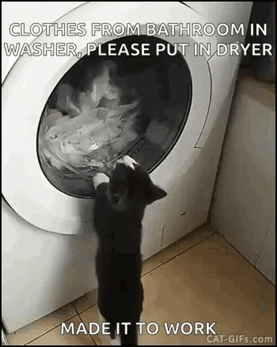 A Cat Is Putting Clothes From Bathroom In A Washer , Please Put In Dryer . GIF