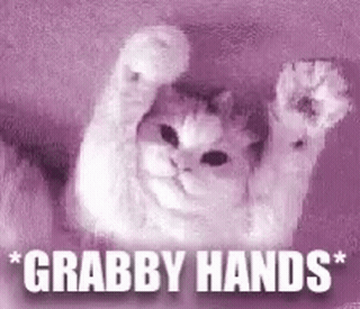 A Cat Is Raising Its Paws In The Air With The Words `` Grabby Hands '' Written Below It . GIF