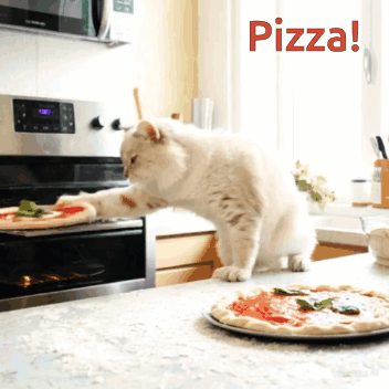 A Cat Is Reaching For A Pizza In An Oven With The Words Pizza Behind It GIF