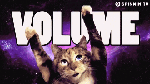 A Cat Is Reaching For The Word Volume GIF