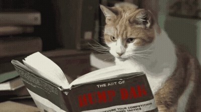 A Cat Is Reading A Book Called The Art Of Humpf Bar GIF