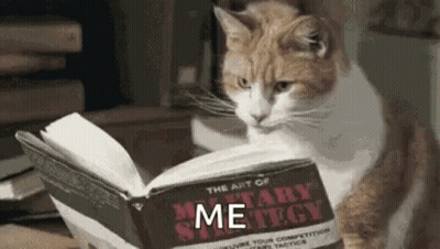 A Cat Is Reading A Book On Military Strategy . GIF
