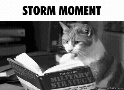 A Cat Is Reading The Art Of Military Strategy Book GIF