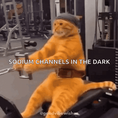 A Cat Is Riding A Bicycle In A Gym With The Caption Sodium Channels In The Dark . GIF