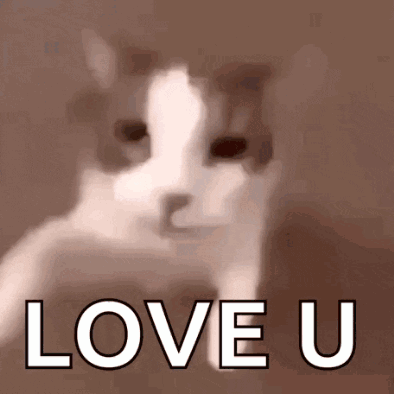 A Cat Is Saying " Love U " In A Blurry Photo GIF