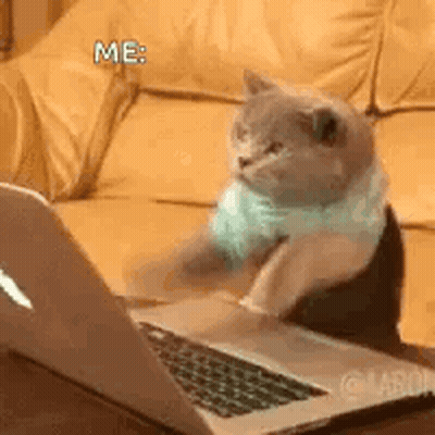 A Cat Is Sitting At A Table With A Laptop Computer . GIF
