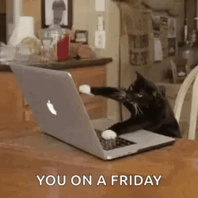 A Cat Is Sitting At A Table With A Laptop Computer . GIF