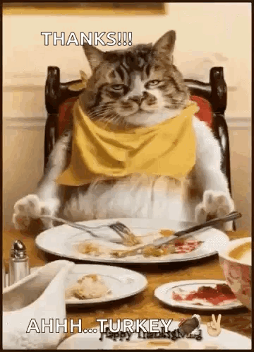 A Cat Is Sitting At A Table With A Plate Of Food And A Fork . GIF