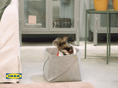 A Cat Is Sitting In A Basket With Ikea Written On It GIF