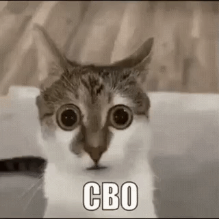 A Cat Is Sitting In A Bathtub With Its Eyes Wide Open And Looking At The Camera . GIF