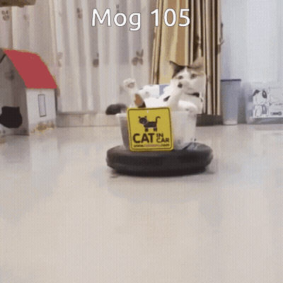 A Cat Is Sitting In A Bucket With A Cat Ear Sign On It GIF