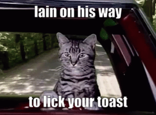 A Cat Is Sitting In A Car Window With A Caption That Says Lain On His Way To Lick Your Toast GIF