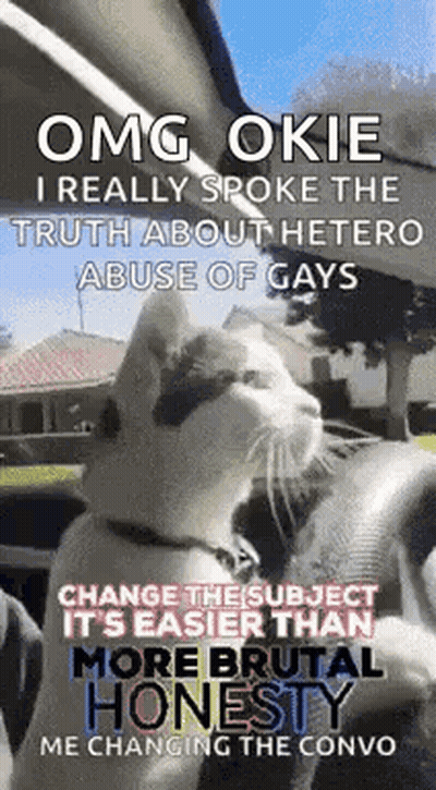 A Cat Is Sitting In A Car With A Caption That Says Omg Okie I Really Spoke The Truth About Hetero GIF