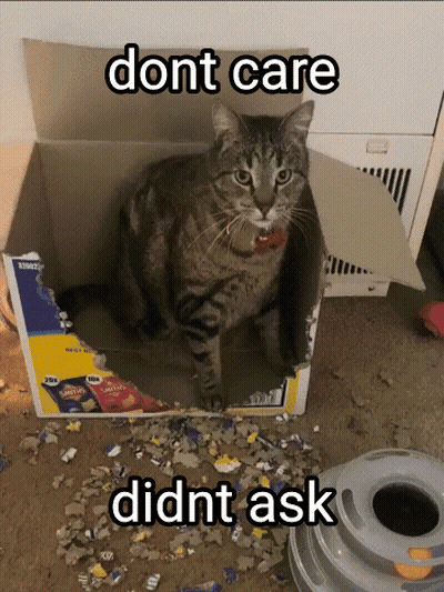 A Cat Is Sitting In A Cardboard Box That Says Dont Care GIF