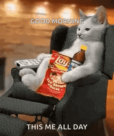 A Cat Is Sitting In A Chair Holding A Bag Of Lays Chips And A Bottle Of Pepsi . GIF