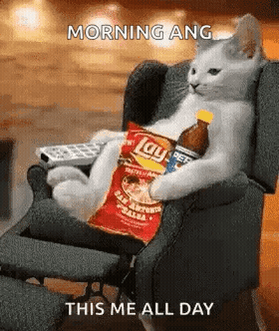 A Cat Is Sitting In A Chair With A Bag Of Chips And A Bottle Of Soda . GIF