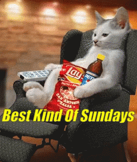 A Cat Is Sitting In A Chair With A Bag Of Lay Chips GIF