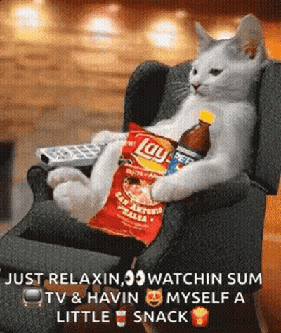 A Cat Is Sitting In A Chair With A Bag Of Lays Chips And A Bottle Of Pepsi GIF