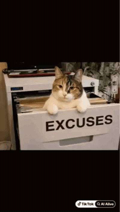 A Cat Is Sitting In A Filing Cabinet With The Word Excuses On It GIF