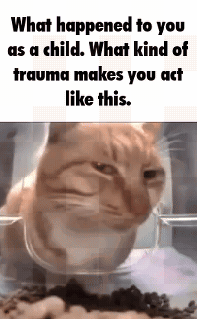 A Cat Is Sitting In A Plastic Container With Food And A Caption That Says What Happened To You As A Child . GIF