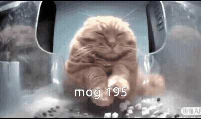 A Cat Is Sitting In A Plastic Container With The Words Mog 195 Written On It GIF