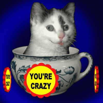 A Cat Is Sitting In A Teacup With A Yellow Circle That Says You 'Re Crazy GIF
