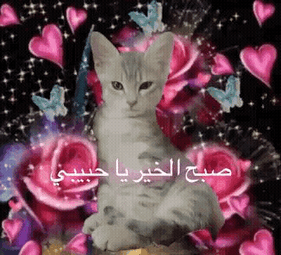 A Cat Is Sitting In Front Of A Bunch Of Flowers And Butterflies . GIF