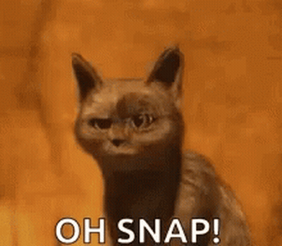 A Cat Is Sitting In Front Of A Fire With The Words `` Oh Snap '' . GIF