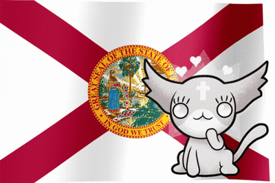 A Cat Is Sitting In Front Of A Flag That Says " Great Seal Of The State Of Florida " GIF