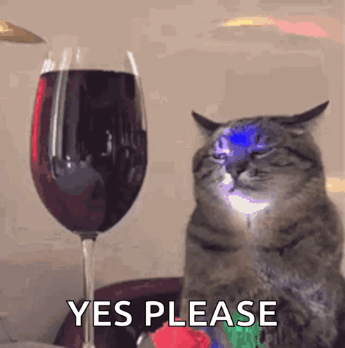 A Cat Is Sitting In Front Of A Glass Of Red Wine And Says " Yes Please " GIF