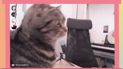 A Cat Is Sitting In Front Of A Keyboard And A Microphone With The Url Ko-R.com/411c3 Visible GIF