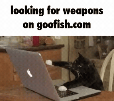 A Cat Is Sitting In Front Of A Laptop Computer . GIF