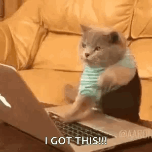 A Cat Is Sitting In Front Of A Laptop Computer With Its Paws On The Keyboard . GIF