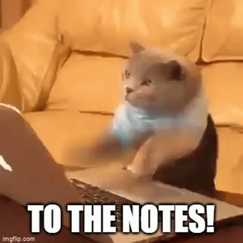 A Cat Is Sitting In Front Of A Laptop Computer With The Words To The Notes Below It GIF