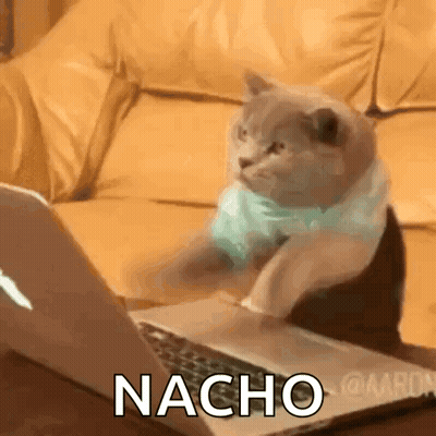 A Cat Is Sitting In Front Of A Laptop With The Word Nacho On The Screen . GIF