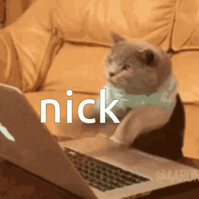 A Cat Is Sitting In Front Of A Laptop With The Word Nick On The Screen GIF