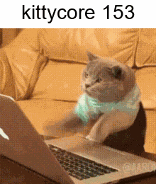 A Cat Is Sitting In Front Of A Laptop With The Words Kittycore 153 On The Bottom GIF