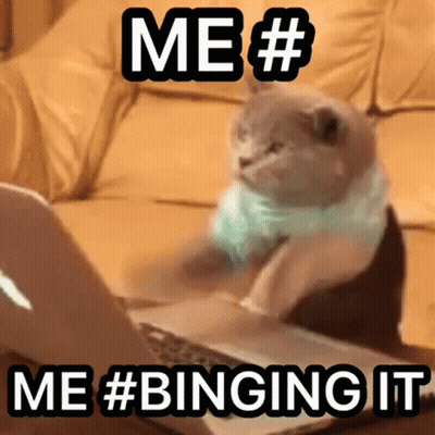 A Cat Is Sitting In Front Of A Laptop With The Words Me # Me # Binging It GIF