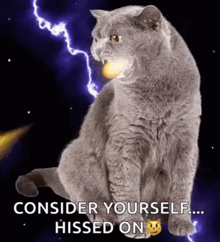A Cat Is Sitting In Front Of A Lightning Bolt With The Words `` Consider Yourself ... Missed On '' . GIF