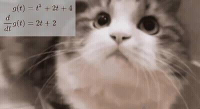 A Cat Is Sitting In Front Of A Math Problem GIF