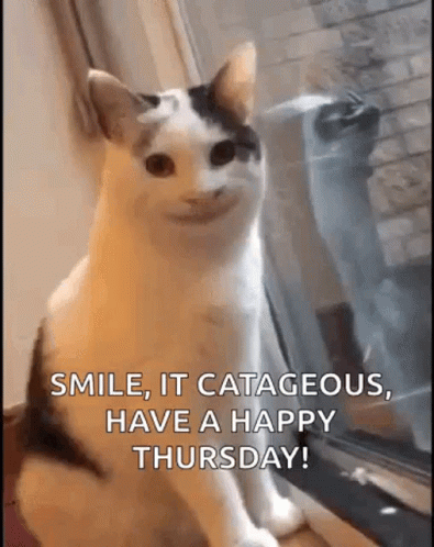 A Cat Is Sitting In Front Of A Window And Smiling With The Words Smile It Catastrophous Have A Happy Thursday . GIF