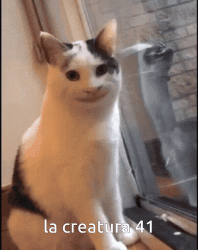 A Cat Is Sitting In Front Of A Window With The Words La Creatura 41 Written On The Bottom GIF