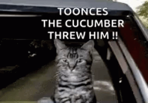 A Cat Is Sitting In The Back Of A Car With A Caption That Says Toonces The Cucumber Threw Him ! GIF
