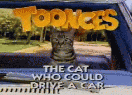 A Cat Is Sitting In The Back Of A Car With The Words " The Cat Who Could Drive A Car " Written Above It . GIF