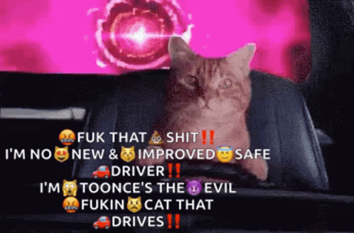 A Cat Is Sitting In The Back Seat Of A Car With A Purple Background GIF